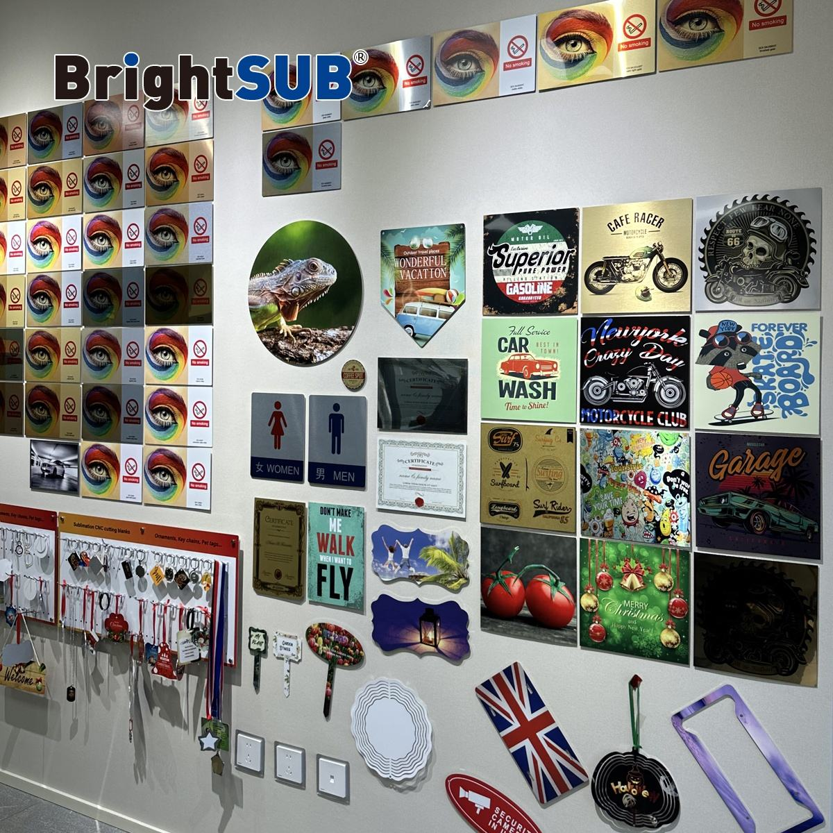 BrightSUB 样品展厅主墙全景(色卡+异形画+户外园艺)
